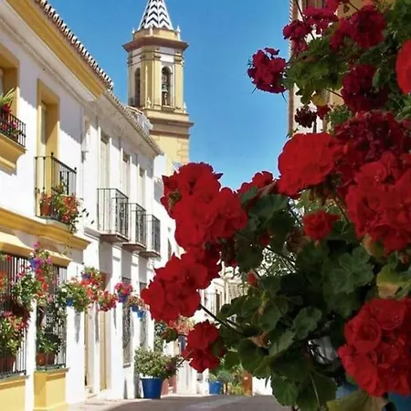 Apartment - Playa - De 2 Con Terrazas Al Lado Del Mar Al7 *